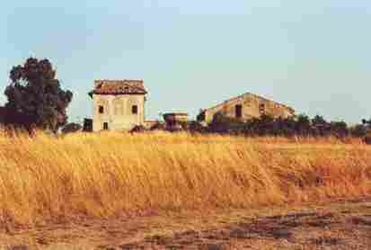 Il casale Vigna Viola